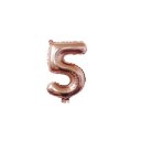 Numerofolioilmapallo 5