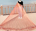 Nylon fuglenet brunt 3 x 5 m masker 2 x 2 cm beskyttelsesnet til have drivhus pergola frugttræer buske blomsterkasser 2