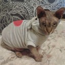 Obleto con cuore per gatti e cani 2