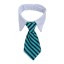 Obojek s kravatou 5