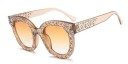 Ochelari de soare retro, eleganti, J3017 3