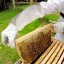 Ochranné včelárske rukavice H975 4