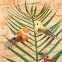 Oiseaux décoratifs 12 pcs 6