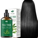 Óleo essencial de tea tree para cabelo Óleo nutritivo e hidratante para apoiar o crescimento do cabelo Cuidado capilar regenerador Nutrição do couro cabeludo 3