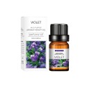 Óleo essencial solúvel em água 10 ml Óleo aromático para purificadores de ar Aromaterapia Fragrância natural Relaxação Alívio do stress 15