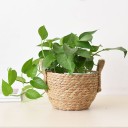 Olkiruukku 5