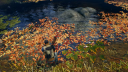 Open Country PS4 -tili 11