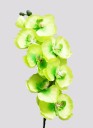 Orchidées artificielles décoratives 14
