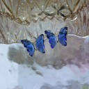 Orecchini da donna con zirconia G203 27