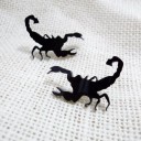 Orecchini da Donna G568 10