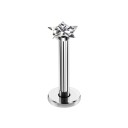 Ørepiercing 1,2 x 6 x 3 mm 30