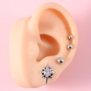 Ørering 5