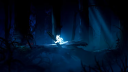 Ori and the Blind Forest: Definitive Edition PC Steam Account 7