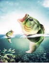 Originale fiskeformede hjemmesko 2