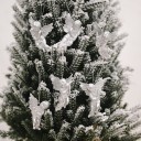 Ornement de Noël ange 6 pcs 3