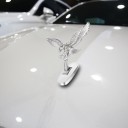 Ørnestatue på motorhjelmen på en bil 5