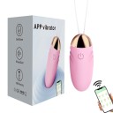 Ou vibrator cu aplicație mobilă, 9 moduri de vibrație, 6 moduri de control, cablu de tragere, încărcare USB, ambalaj discret 4