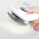 Oval Brush for Pets 8