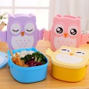 Owl Lunch Box for Children 7