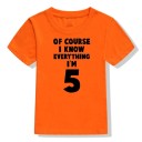 Παιδικό γενέθλιο μπλουζάκι B1504 4