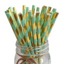 Pailles de Noël 25 pcs C602 2