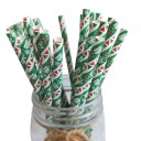 Pailles de Noël 25 pcs C602 3