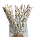 Pailles de Noël 25 pcs C602 6
