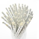 Pailles en papier 50 pcs 2