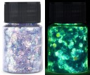 Paillettes lumineuses pour résine époxy Pigments pour briller dans l'obscurité Couleurs métalliques Effets UV Couleurs néon pour remplissages, décorations 19