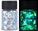 Paillettes luminose per resina epossidica Pigmenti per brillare al buio Colori metallici Effetti UV Colori neon per riempimenti, decorazioni 8
