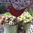 Pájaro decorativo para jardín 2