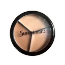 Palette waterproof multifonctionnelle pour le contour, correcteur et illuminateur de visage Correcteur crémeux pour une couverture durable des imperfections de la peau 5