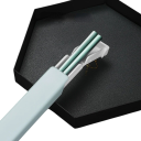 Palillos de acero inoxidable con estuche Palillos de viaje portátiles con caja de almacenamiento Palillos antideslizantes para sushi, fideos y comidas asiáticas 10