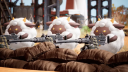 Palworld Steam Account 5