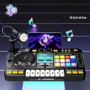 Pannello musicale per bambini 35,5 x 21 x 9,5 cm Effetti luminosi tasti piatto rotante microfono supporto per telefono e connessione Bluetooth 2