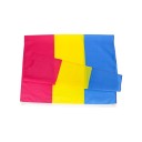 Panseksuelt flag 90 x 150 cm 3