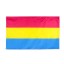 Pansexuální vlajka 90 x 150 cm 1