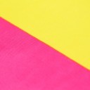 Pansexuelle Flagge 90 x 150 cm 5