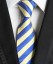 Pánska kravata T1200 2
