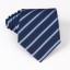 Pánska kravata T1203 11