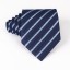 Pánska kravata T1203 12