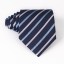 Pánská kravata T1203 18