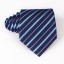 Pánská kravata T1203 19