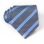 Pánska kravata T1203 1