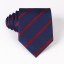 Pánska kravata T1203 3