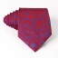 Pánská kravata T1203 48