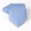 Pánská kravata T1203 60