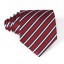 Pánska kravata T1203 6