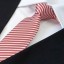 Pánska kravata T1208 12