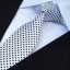 Pánska kravata T1208 13